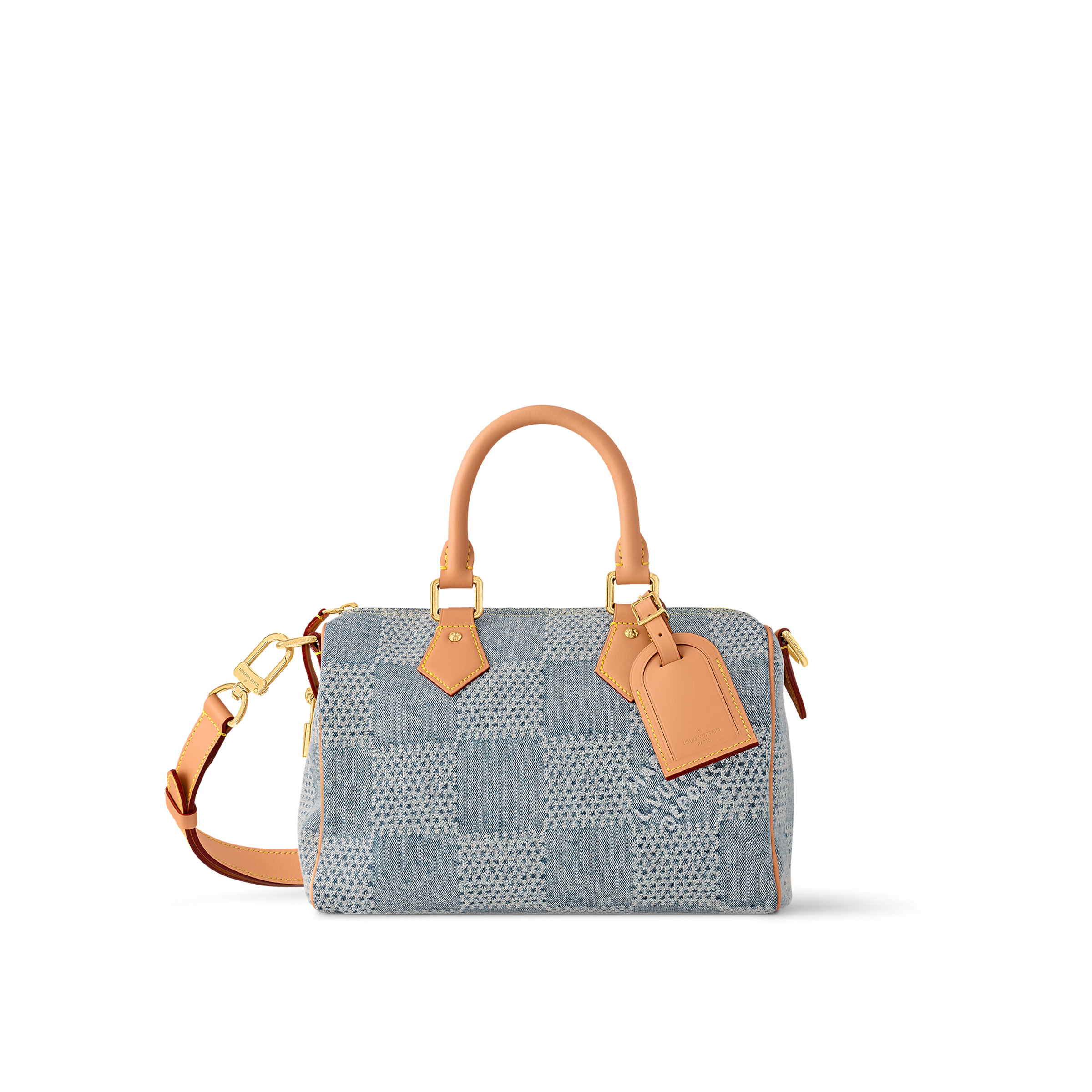 Louis Vuitton Speedy Bandoulière 25 N40700