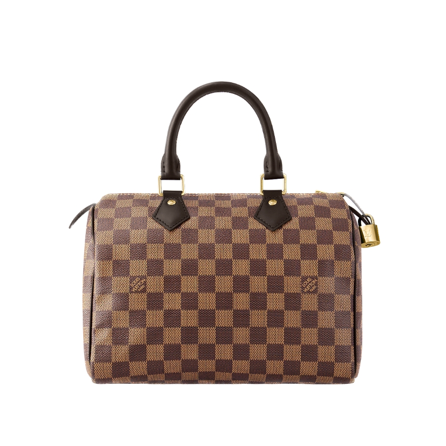 Louis Vuitton Speedy Bandoulière 25 N41365